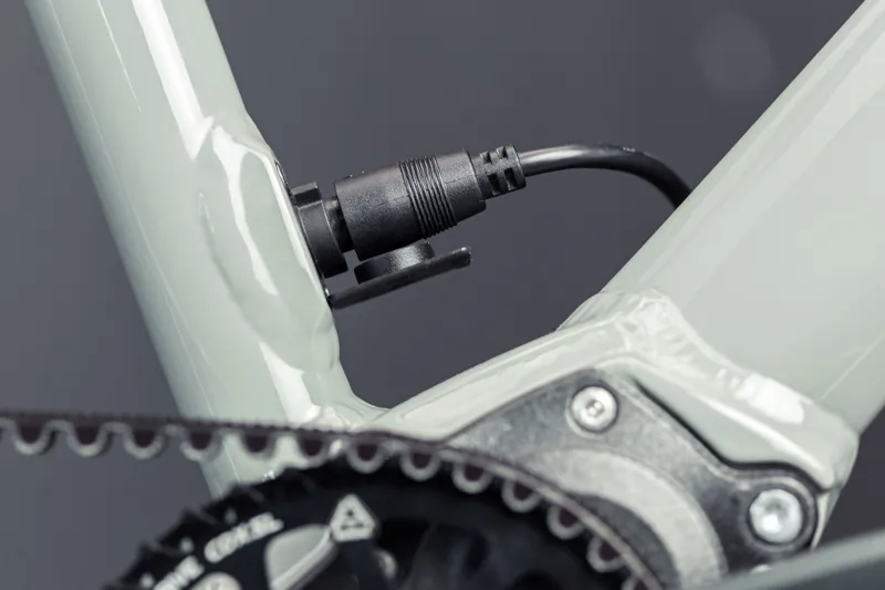 Emil IX Mahle Pinion-5